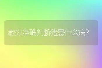 教你准确判断猪患什么病？