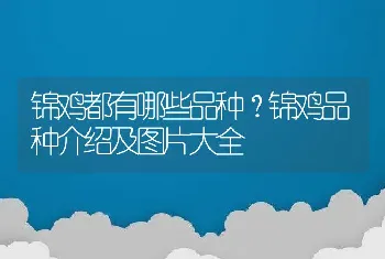 锦鸡都有哪些品种？锦鸡品种介绍及图片大全