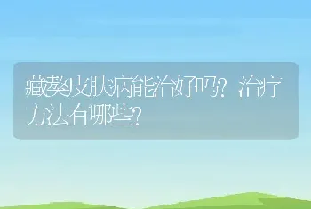 藏獒皮肤病能治好吗?治疗方法有哪些?