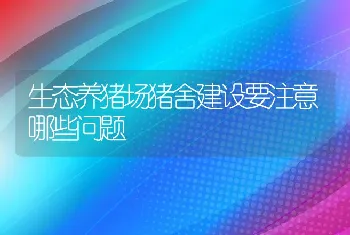 生态养猪场猪舍建设要注意哪些问题