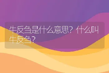 牛反刍是什么意思？什么叫牛反刍？