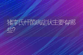 猪李氏杆菌病症状主要有哪些？