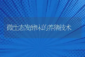 微生态发酵床的养猪技术