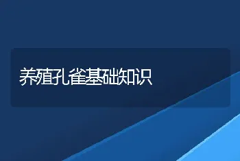 饲养母猪难题的应对措施