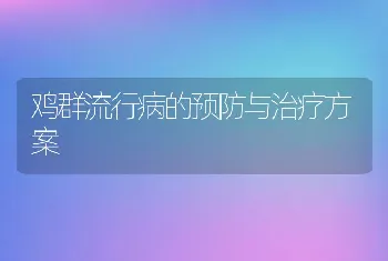 鸡群流行病的预防与治疗方案