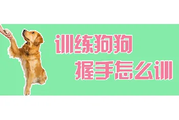 训练狗狗握手怎么训