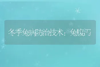 冬季兔病防治技术:兔腹泻