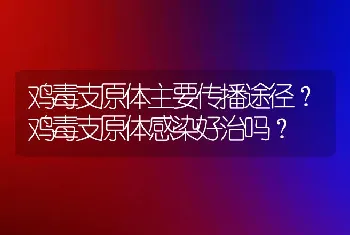 鸡毒支原体主要传播途径？鸡毒支原体感染好治吗？