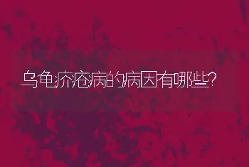 乌龟疥疮病的病因有哪些？