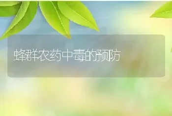 蜂群农药中毒的预防