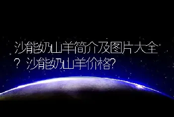 沙能奶山羊简介及图片大全？沙能奶山羊价格？