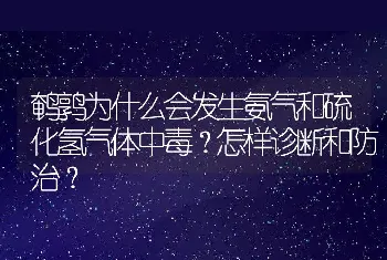 鹌鹑为什么会发生氨气和硫化氢气体中毒？怎样诊断和防治？