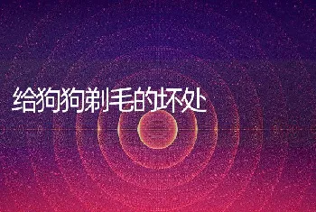 给狗狗剃毛的坏处