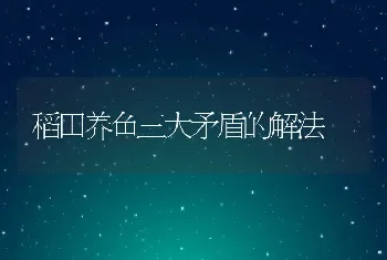 稻田养鱼三大矛盾的解法