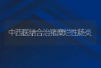 中西医结合治猪糜烂性肠炎