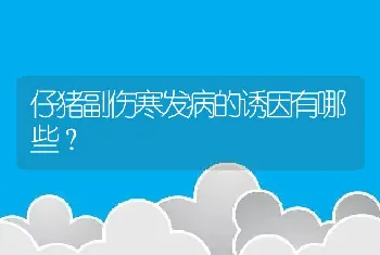 仔猪副伤寒发病的诱因有哪些？