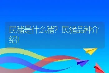 民猪是什么猪？民猪品种介绍！