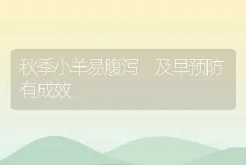 蜂王浆高产技术措施