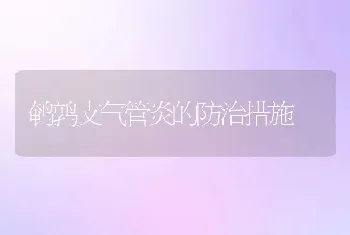 鹌鹑支气管炎的防治措施