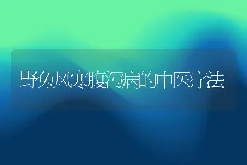 黄颡鱼的习性与养殖