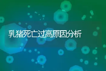 乳猪死亡过高原因分析