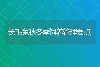 长毛兔秋冬季饲养管理要点