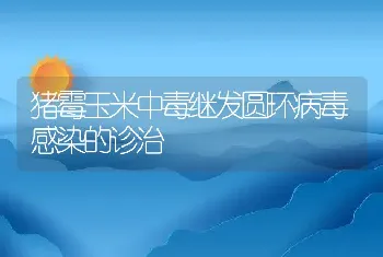 猪附红细胞体病并发沙门氏菌感染的诊治