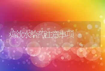 农民养猪误区及其改进方法