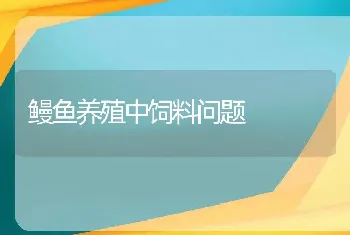 鳗鱼养殖中饲料问题