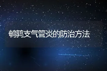 鹌鹑支气管炎的防治方法