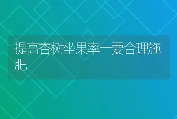 提高杏树坐果率一要合理施肥