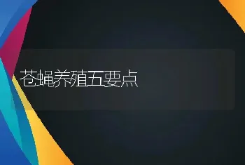 苍蝇养殖五要点