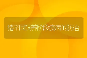 猪不同饲养阶段疫病的防治