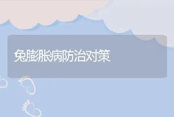 兔膨胀病防治对策