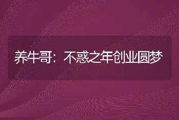 养牛哥：不惑之年创业圆梦