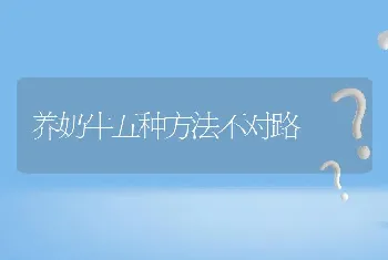 养奶牛五种方法不对路