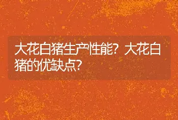 大花白猪生产性能？大花白猪的优缺点？