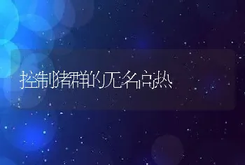 控制猪群的无名高热