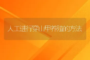 人工进行穿山甲养殖的方法