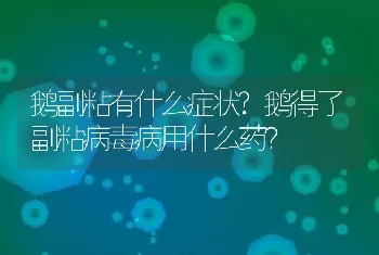 鹅副粘有什么症状?鹅得了副粘病毒病用什么药？