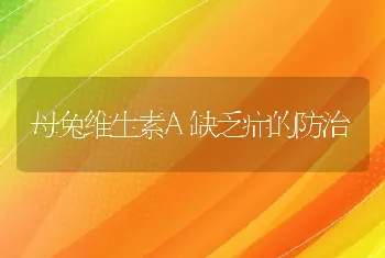 母兔维生素A缺乏症的防治