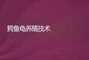 鳄鱼龟养殖技术