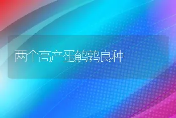 两个高产蛋鹌鹑良种