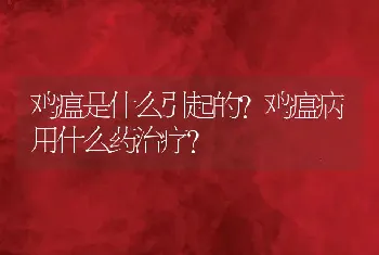 鸡瘟是什么引起的？鸡瘟病用什么药治疗？