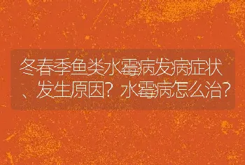 冬春季鱼类水霉病发病症状、发生原因？水霉病怎么治？