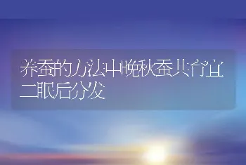 养蚕的方法中晚秋蚕共育宜二眠后分发