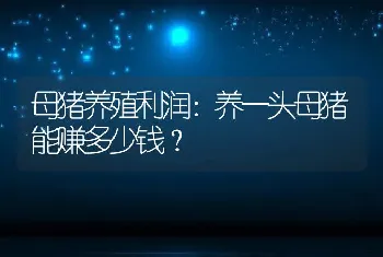 母猪养殖利润：养一头母猪能赚多少钱？