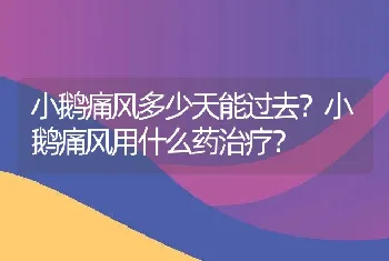 小鹅痛风多少天能过去？小鹅痛风用什么药治疗？