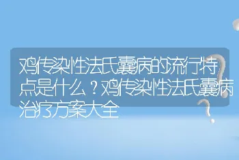 鸡传染性法氏囊病的流行特点是什么？鸡传染性法氏囊病治疗方案大全