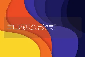 羊口疮怎么治效果？